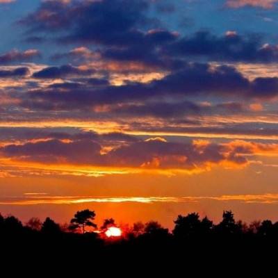 半岛体肓综合截图